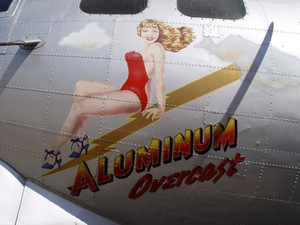 alu.thumb.jpg.84b93be66f5a6b7359dc4586e325bc28.jpg
