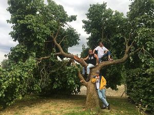 edie_30jul16_christabitch.thumb.jpg.d888a5af6fe19a309d91ddb69b4f8747.jpg