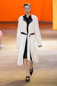 edie_celine_ss16_fashionising_1.thumb.jpg.661c978a9f447ca13ef8743e39963a32.jpg