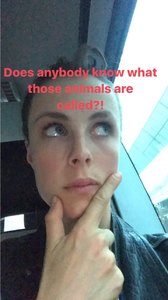 ediebcampbell_igstory_14jun17_5.thumb.jpg.2db22d688919ec975b6dac225a5e0c8c.jpg