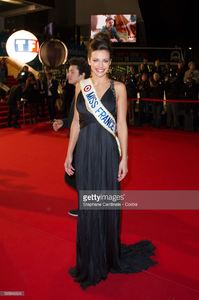 marine-lorphelin-attends-the-nrj-music-awards-2013-at-palais-des-in-picture-id535846624.jpg