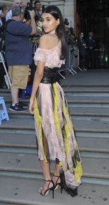 neelam-gill-the-victoria-and-albert-museum-summer-party-in-london-06-21-2017-3.jpg