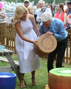      hollyw130717BZNImage158.jpg