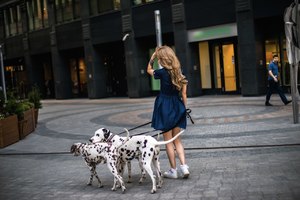 8KrSBL2Rf94.jpg