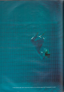 Scan40050.JPG