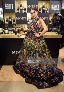 actress-olivia-culpo-attends-the-74th-annual-golden-globe-awards-at-picture-id631241726.jpg