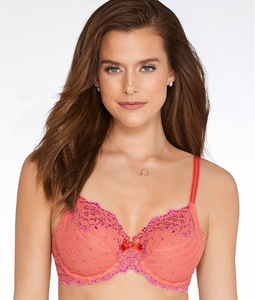 cha3281_flamingo.jpg