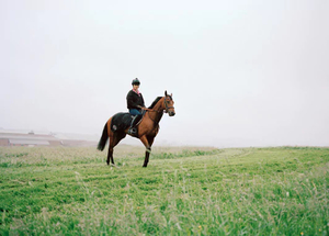 edie_29jul12_telegraph_3.thumb.jpg.22356987fa0492d44159d61a1273dbda.jpg