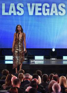 miss-universe-2012-olivia-culpo-presents-the-lady-byng-memorial-the-picture-id542907972.jpg