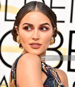 olivia-culpo-arrives-at-the-74th-annual-golden-globe-awards-at-the-picture-id631424304.jpg