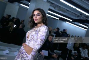 olivia-culpo-attends-zimmermann-fashion-show-on-february-2017-new-picture-id635122716.jpg