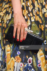 olivia-culpo-clutch-detail-attends-the-74th-annual-golden-globe-at-picture-id631237832.jpg