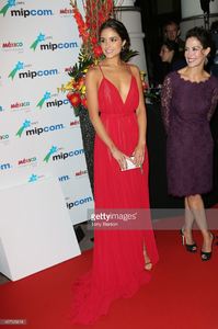 olivia-culpo-miss-univers-2012-miss-usa-2012-arrives-at-the-mipcom-picture-id457926618.jpg