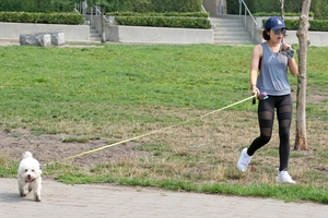    lhale070817BZNImage110.jpg