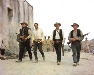 WILD BUNCH.jpg