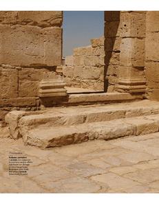 F N34 30 Agosto 2017 FreeMags.cc-page-011.jpg
