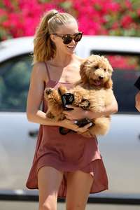 Abby-Champion-walks-her-dog-in-LA--23.jpg