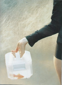 Scan40017.JPG