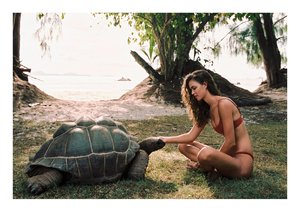 Seychelles73.jpg