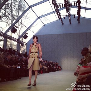 edie_burberry_aw13.thumb.jpg.69d5076c0fe80600e41583a40117de18.jpg