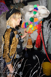 edie_love_christmas_16dec16_hollywood_7.thumb.jpg.37525eef356adc66da54ea0aa50b4137.jpg