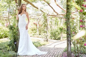 ti-adora-bridal-fall-2017-style-7757_3.thumb.jpg.2bc044b0747adf03e068fbcc5b4eb756.jpg