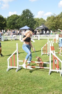   kgarner030917BZNImage30.jpg