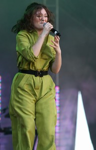  lorde040917BZNImage102.jpg