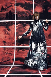 edie_giles_prefall13_visualoptimism_5.jpeg