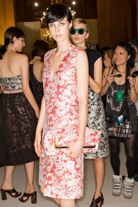 edie_stella_mccartney_ss14_vogue_3.thumb.JPG.8c947fb4ffd3d8d9ee74394d4a703ea5.JPG