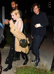 emma-roberts-attending-the-harry-styles-concert-in-la-92117-13.jpg