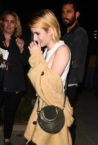 emma-roberts-attending-the-harry-styles-concert-in-la-92117-3.jpg