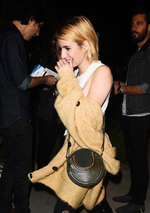 emma-roberts-attending-the-harry-styles-concert-in-la-92117-4.jpg