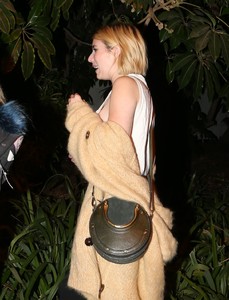 emma-roberts-attending-the-harry-styles-concert-in-la-92117.jpg