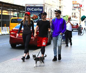 sophie-turner-out-for-a-stroll-with-her-puppy-named-porky-in-nyc-september-8-2017-50.jpg