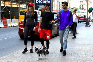 sophie-turner-out-for-a-stroll-with-her-puppy-named-porky-in-nyc-september-8-2017-52.jpg
