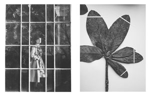 van_Drimmelen_Pleasure_Garden_Spring_Summer_2017_02.thumb.png.04e998b26258c94b9383e048cb7a8c04.png