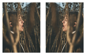van_Drimmelen_Pleasure_Garden_Spring_Summer_2017_03.thumb.png.7a02c87c4b573a6503b9e9140842aee8.png