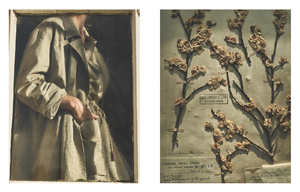 van_Drimmelen_Pleasure_Garden_Spring_Summer_2017_05.thumb.png.c7f6e134c851b48b728f696cacefb349.png