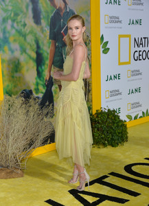  kateb101017BZNimage16.jpg