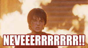 DDB16E15-8872-4F7C-96FA-584F69860BD0.thumb.gif.4795ce64b5e94ac38fca02960e070b54.gif