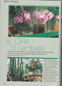 Scan40011.JPG