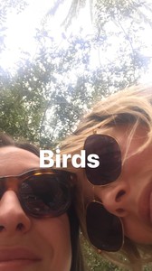 edie_igstory_8oct17_tishweinstock_2.thumb.jpg.1b518b24bafc6e9f8146899872d99b33.jpg