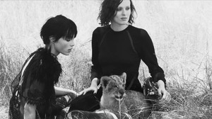 edie_louisvuitton_spiritoftravel_spring14_vogue_2.thumb.jpeg.791db85490ff075c2a65704524e23847.jpeg