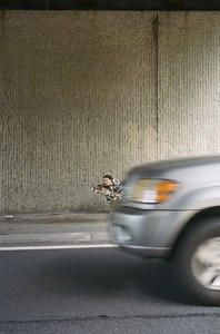 tumblr_oxmx0hS7Xo1vstnjqo7_1280.thumb.jpg.86cd733825f61f2b25e49a811e3a3e91.jpg
