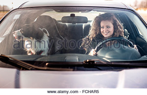 woman-driving-car-dog-sitting-on-passenger-seat-fchar5.thumb.jpg.46a2a3d36462748c17a062e9eb41cc39.jpg