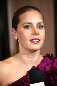 414803363_56491230_picturepub_amy_adams_115_122_121lo.jpg