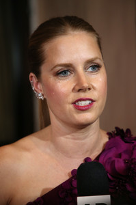 415453474_56491093_picturepub_amy_adams_050_122_518lo.jpg