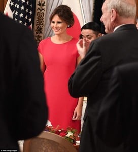 4612A3E400000578-5054517-Greetings_Melania_smiled_as_she_settled_for_the_state_banquet_ho-a-44_1509991574340.jpg