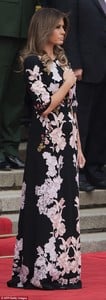 4626D99000000578-5066327-Melania_Trump_donned_a_stunning_Chinese_inspired_gown_as_she_met-a-28_1510237730597.jpg